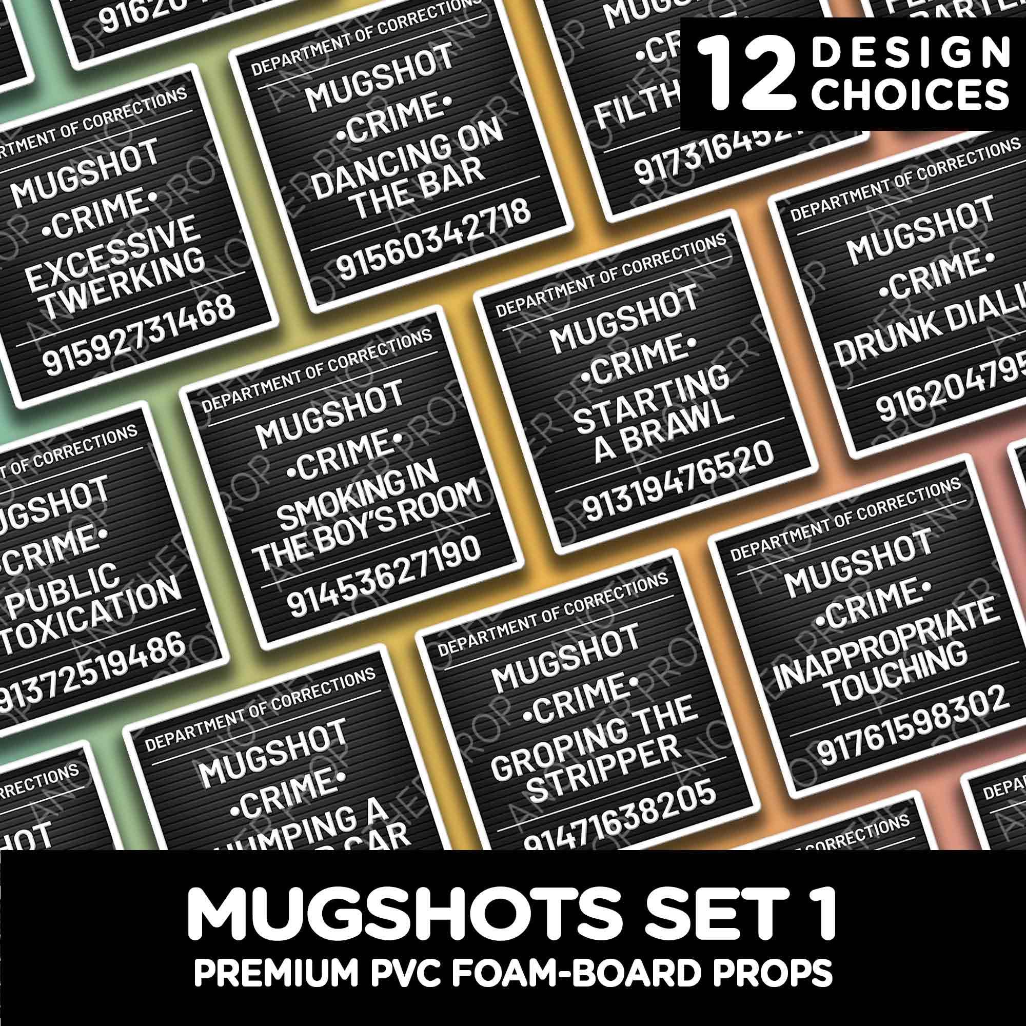 Photo Booth Props – Funny Mugshots Set 1 Party Signs Fake Arrest Props for Bachelor Bachelorette Birthday Roast or Adult Group Photos
