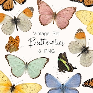 Op de afbeelding: Een verzameling vintage vlinderillustraties in verschillende kleuren, waaronder oranje, roze, blauw en geel. De afbeelding bevat de tekst "Vintage Set Butterflies 8 PNG". De vlinders zijn gerangschikt op een witte achtergrond.