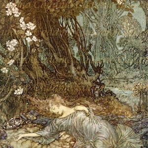 Ilustracja Arthura Rackhama ze Snu nocy letniej - Karta lub wydruk