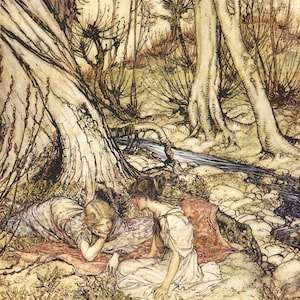 Arthur Rackham Illustration from Midsummer Night&#39;s Dream