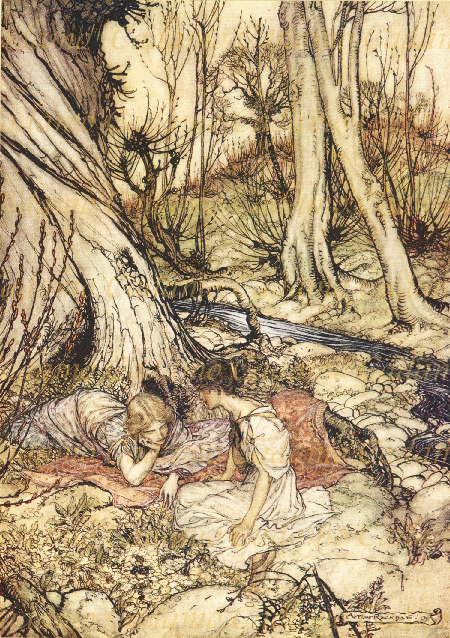 Arthur Rackham Illustration From Midsummer Night's Dream - Etsy