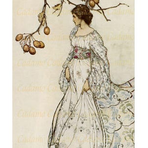 Ilustracja do „Peter Pan Arthur Rackham” na karcie lub wydruku