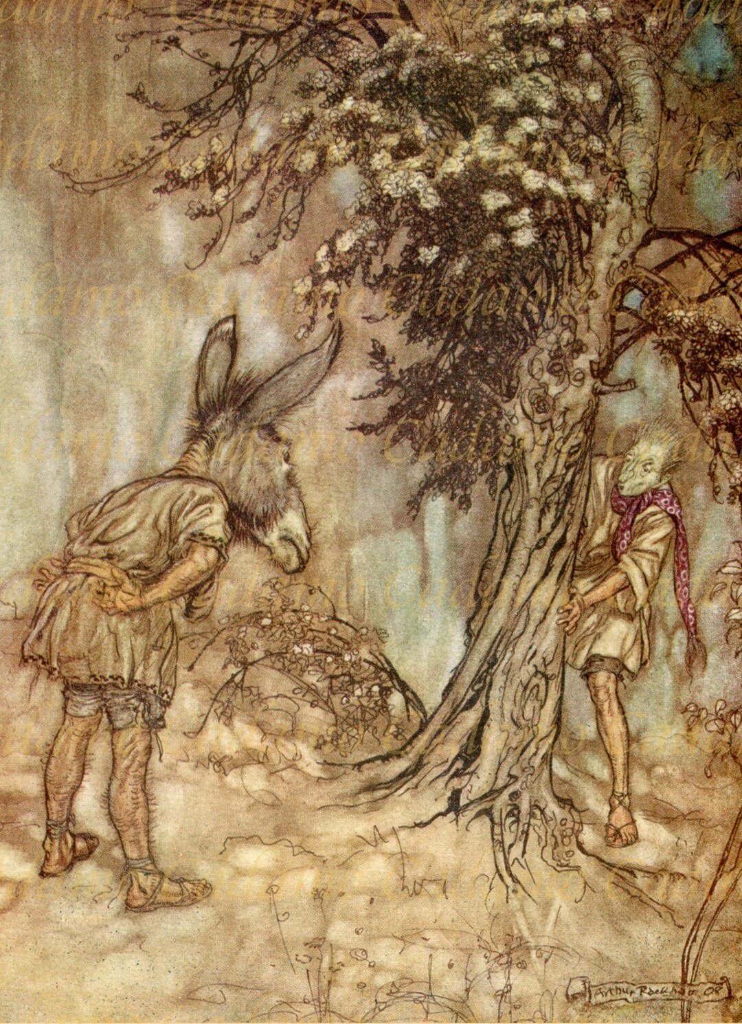 Arthur Rackham Illustration From Midsummer Night's Dream Card or Print ...