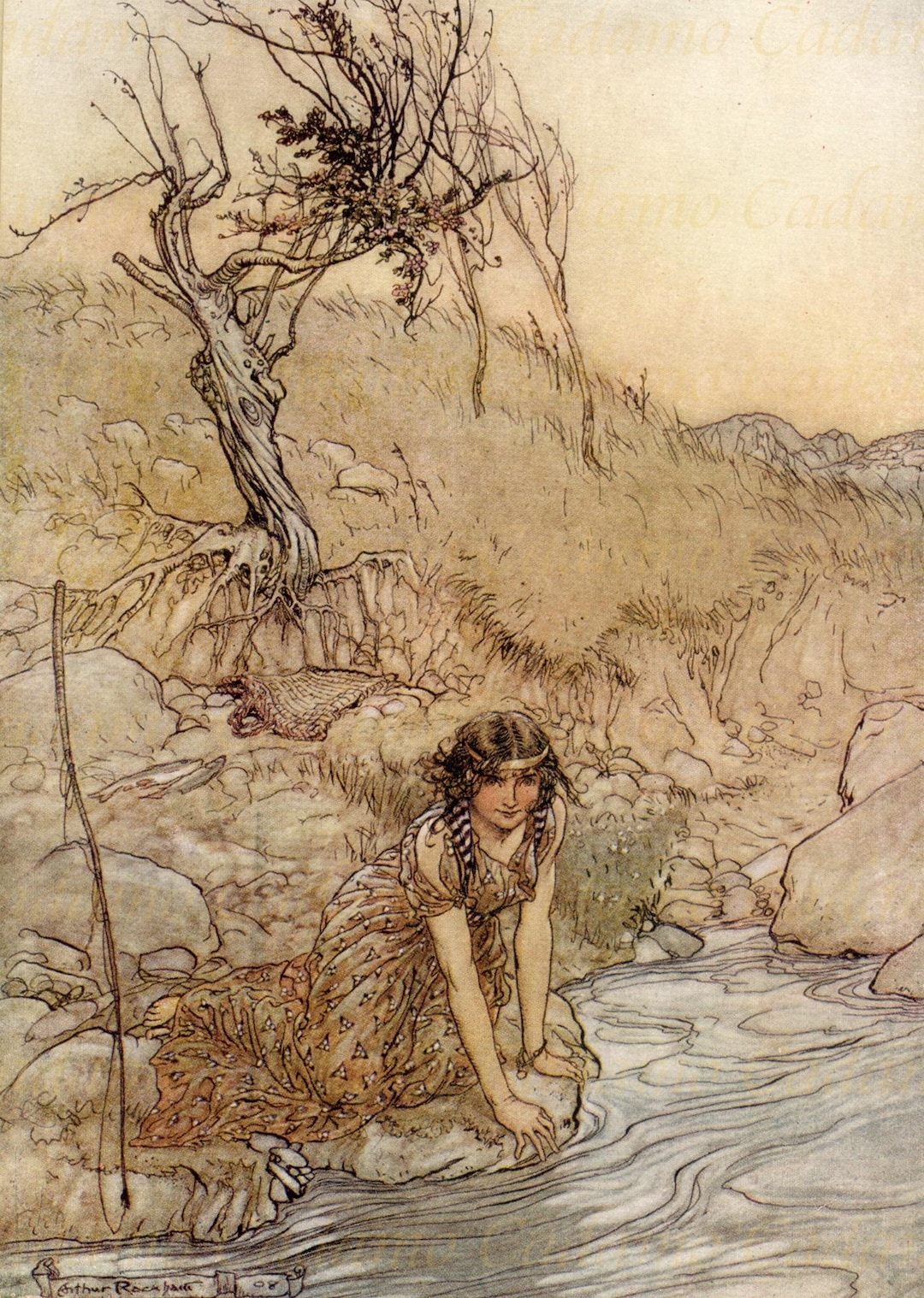 Arthur Rackham Illustration From Midsummer Night's Dream - Etsy