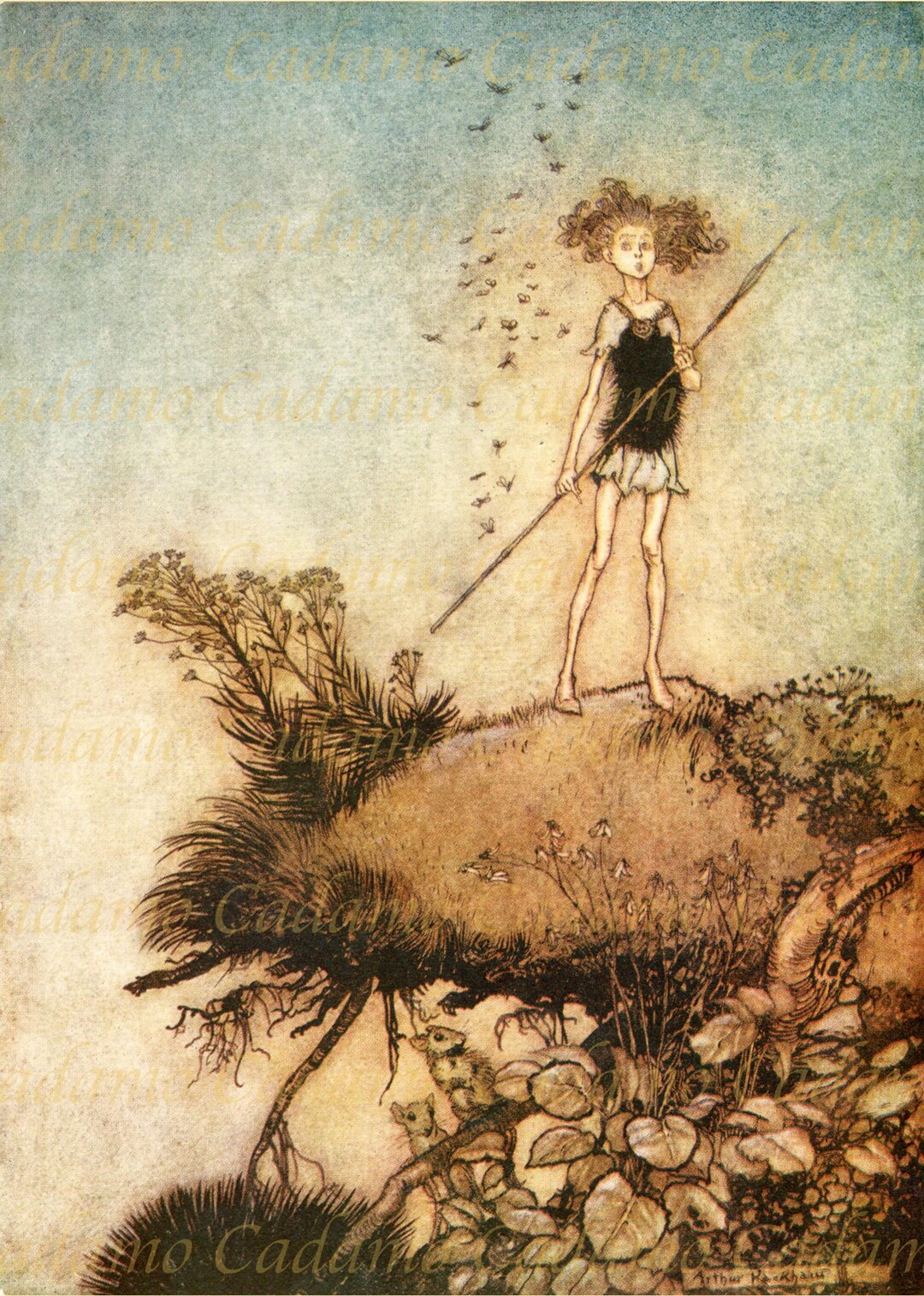 Arthur Rackham Illustration From Midsummer Night's Dream - Etsy