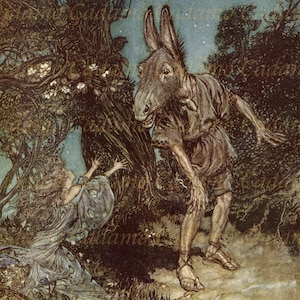 Arthur Rackham Illustration from Midsummer Night&#39;s Dream