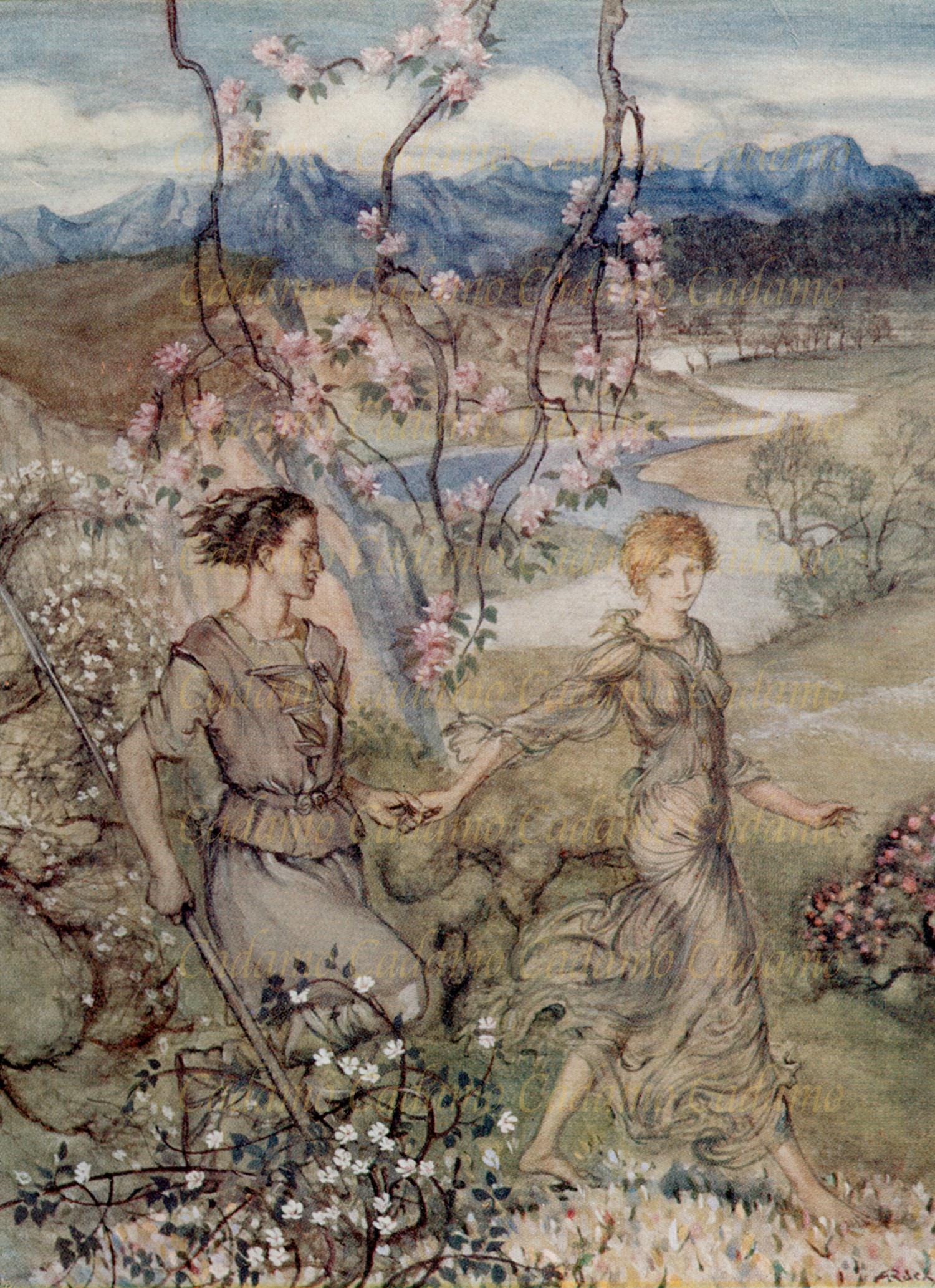 Arthur Rackham Illustration From Irish Fairy Tales - Card or Print - Etsy