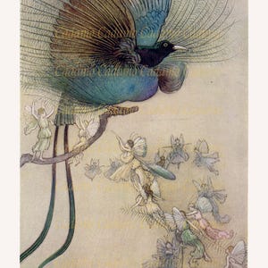 Grußkarte Arthur Rackham Illustration