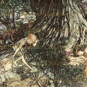 Arthur Rackham Illustration from Midsummer Night&#39;s Dream