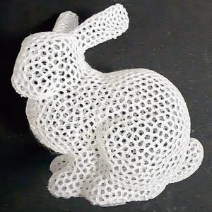 Voronoi Bunny