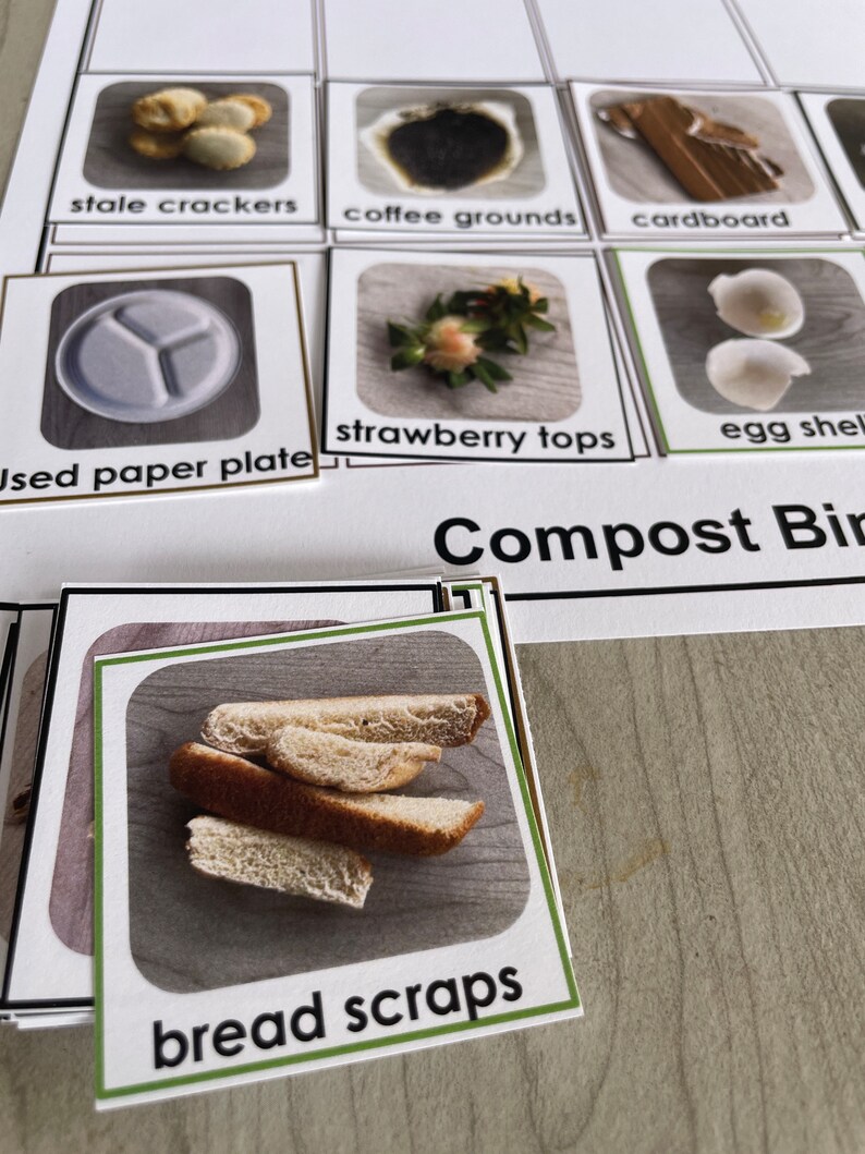 Compost Sorting Game: Printable Flashcards (PDF) - Etsy