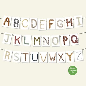 Tarjetas del alfabeto de alimentos reales / Aprendizaje Montessori con granos y semillas / Imprimibles para el estudio de la naturaleza