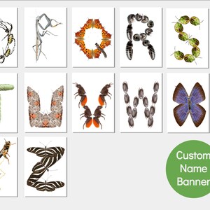 Printable Bug Themed Birthday Banner Insect Party Banner Including ...