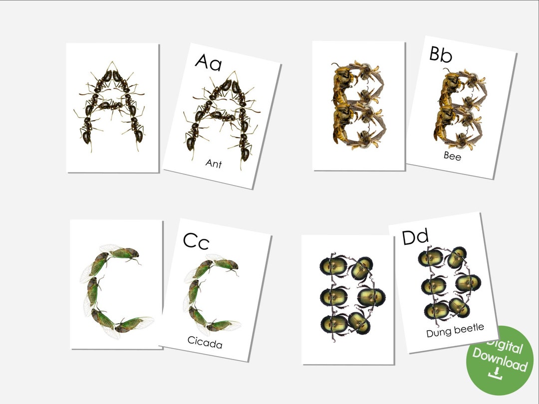 Printable Bugs Alphabet for Teaching Insects Using Matching Alphabet
