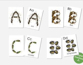 Printable Bugs Alphabet for teaching insects using matching alphabet cards