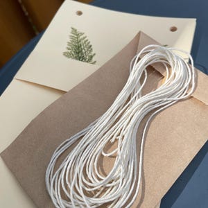 May include: A collection of craft supplies featuring a bundle of white twine, a brown envelope, and two cream-colored cards. One card has a green fern design. The items are arranged on a blue surface.