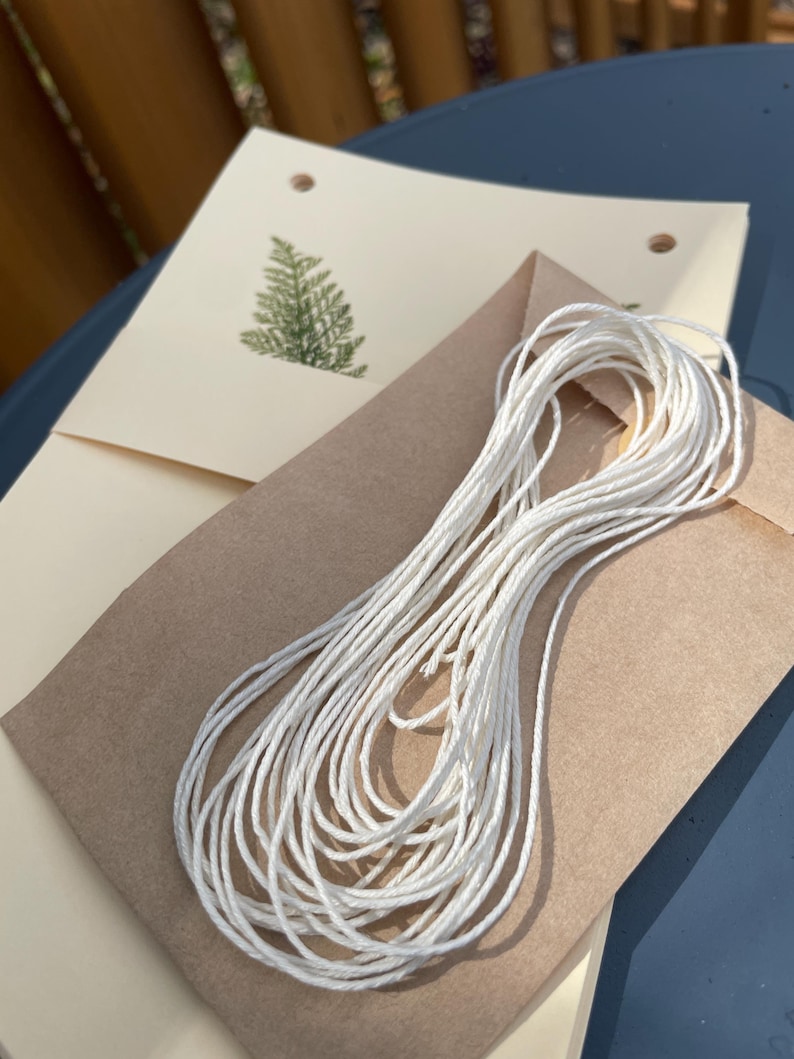 May include: A collection of craft supplies featuring a bundle of white twine, a brown envelope, and two cream-colored cards. One card has a green fern design. The items are arranged on a blue surface.