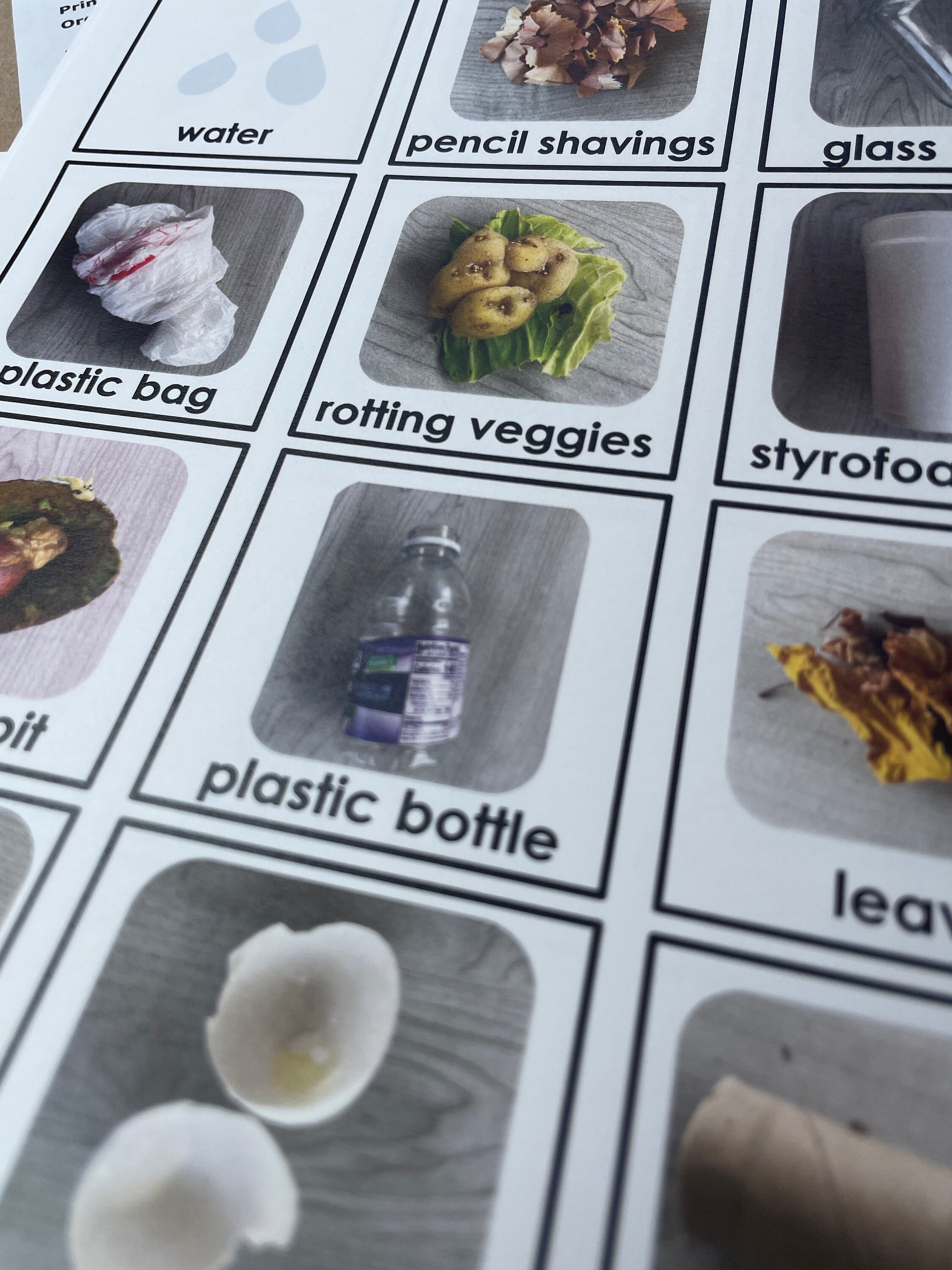 Compost Sorting Game: Printable Flashcards (PDF) - Etsy
