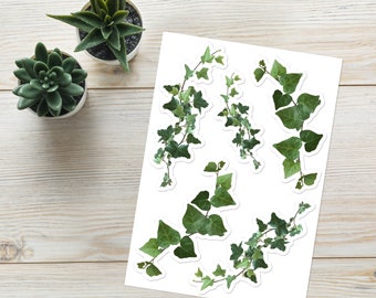 Trailing Ivy Vine Stickers: English & Variegated Ivy