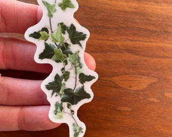 Ivy Vine Sticker that is waterproof and safe for outdoors. Waterproof decal