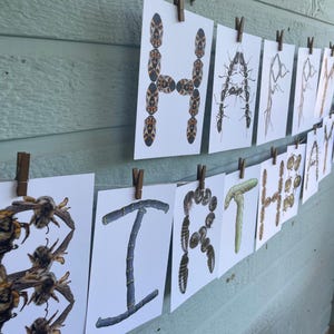 Customizable Bug name sign or Insect Birthday Banner - DIY Personalized Name Sign