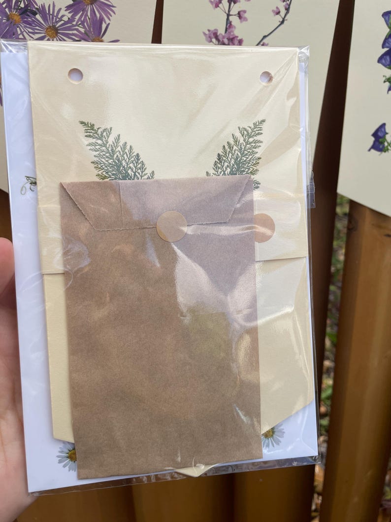 May include: A clear plastic-wrapped stationery set featuring a cream-colored banner with green sprig designs and a small brown envelope. The set includes a white card with a daisy illustration. The stationery is held by a hand.