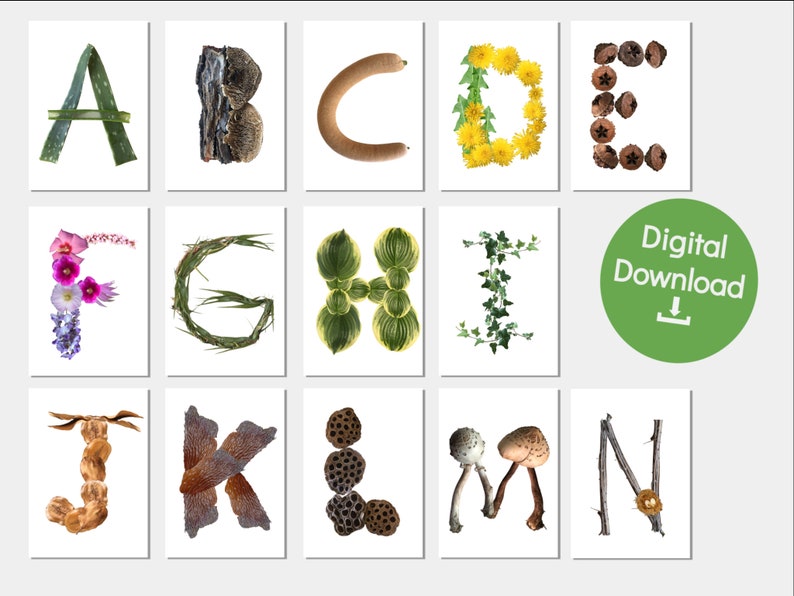 Nature 2.0 Alphabet Cards Printable Wall Art Nature Themed Etsy