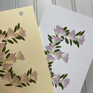 May include: Two cards, one cream and one white, each featuring the letter "E" formed with pink flowers and green leaves. The cream card has a hole at the top. The flowers are a soft pink color.