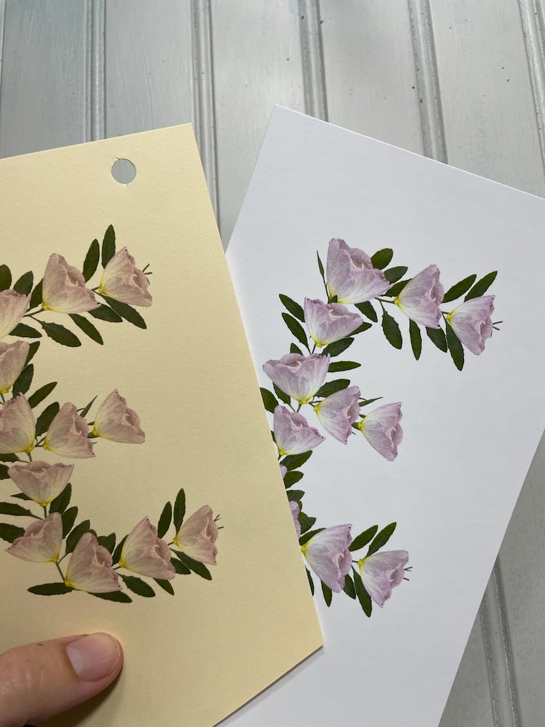 May include: Two cards, one cream and one white, each featuring the letter "E" formed with pink flowers and green leaves. The cream card has a hole at the top. The flowers are a soft pink color.