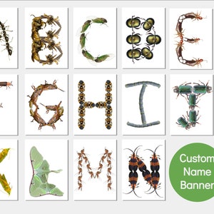 Printable Bug Themed Birthday Banner Insect Party Banner Including ...