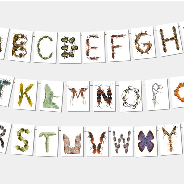 Printable Bug Alphabet to make a banner, bunting or ABC sign | Insect font for classroom | Decorate a nursery with phonetic pollinators