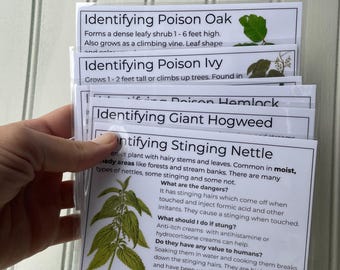 6 Poisonous Plant Identification Info Cards | Poison Ivy, Oak, Sumac, hemlock, Hogweed, and Stinging Nettle - Laminated