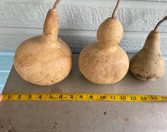 Dried Gourd - different styles