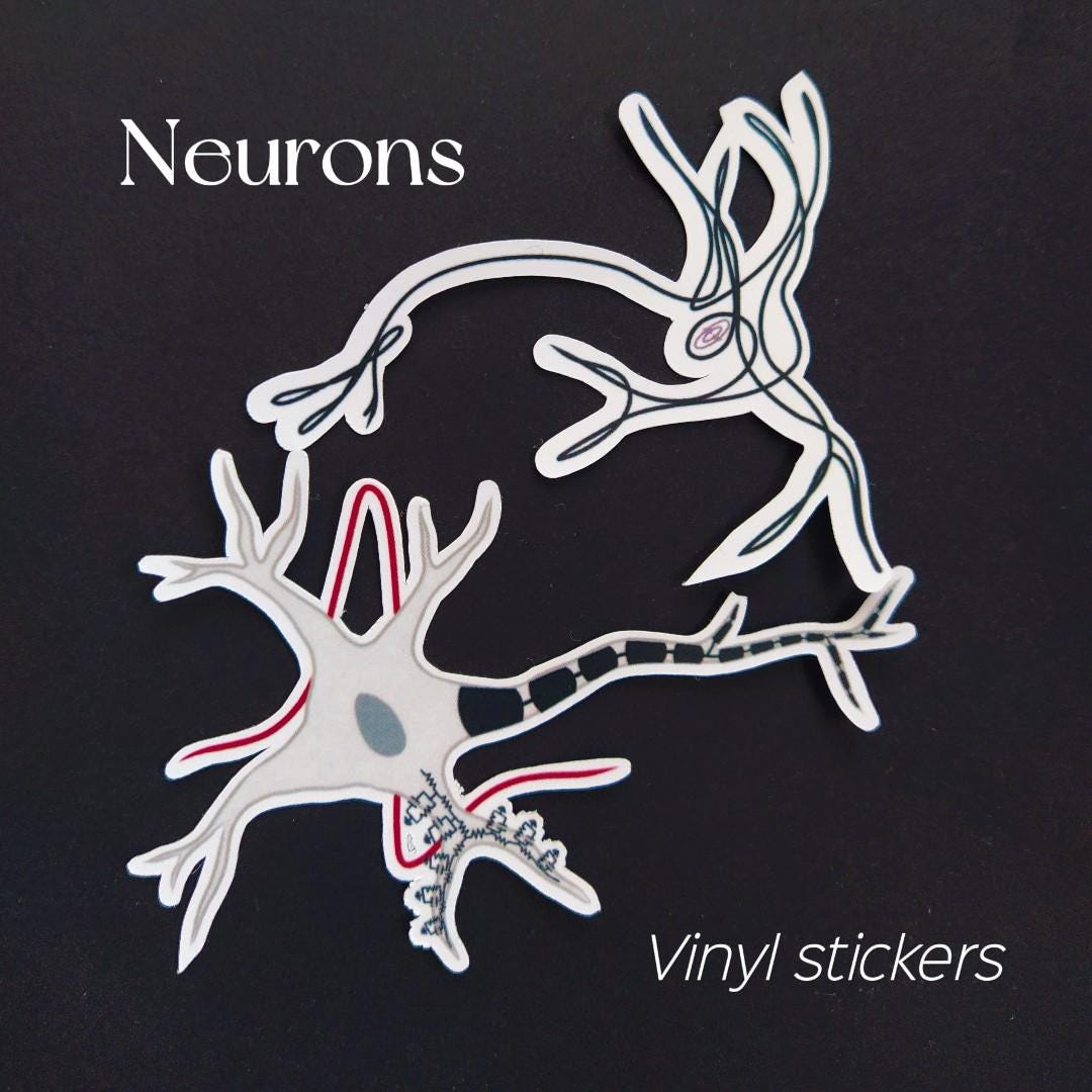 Edible Neuron Sticker Neuron Stickers - Etsy