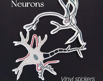 Neuron stickers