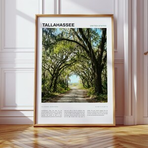 Tallahassee Wall Art, Live Oak Canopy Road Print, United States Travel Poster, Housewarming Gift, Living Room Decor