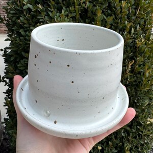 May include: A speckled white ceramic planter with a matching saucer. The cylindrical pot has a wide opening and is designed to hold plants. The planter is held in a hand against a backdrop of green foliage.
