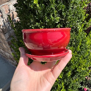 May include: A glossy, red ceramic planter with a matching saucer. The planter is round with a slightly flared rim. The saucer is a flat, circular dish. The items are held in a hand against a backdrop of green foliage.