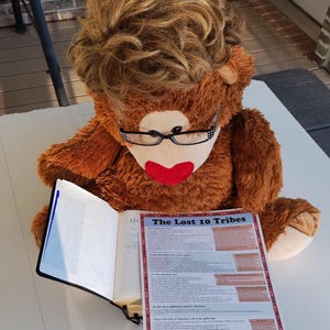 May include: A brown teddy bear wearing glasses and a red heart on its nose is reading a book titled "The Lost 10 Tribes".