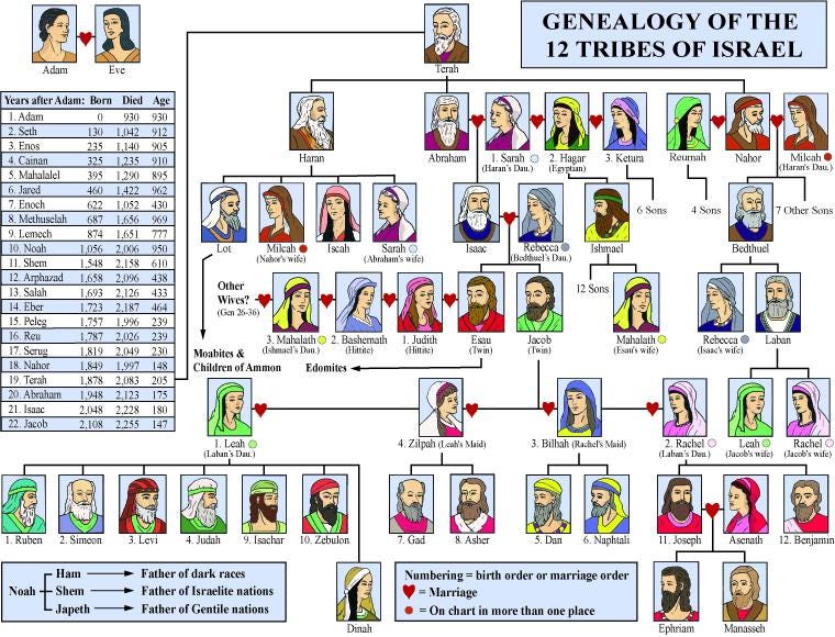 Genealogy of the 12 Tribes Chart or Bookmark Etsy