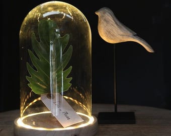 Cloche en verre LED 21,5 cm pour mariages, événements, centres de table, décoration