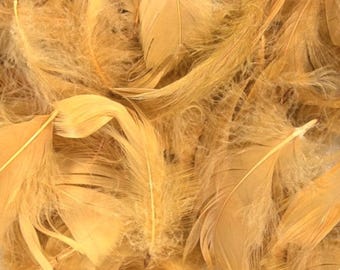 Paquete de 50 gramos de plumas variadas de 3 a 5 pulgadas para bodas, eventos y fiestas.