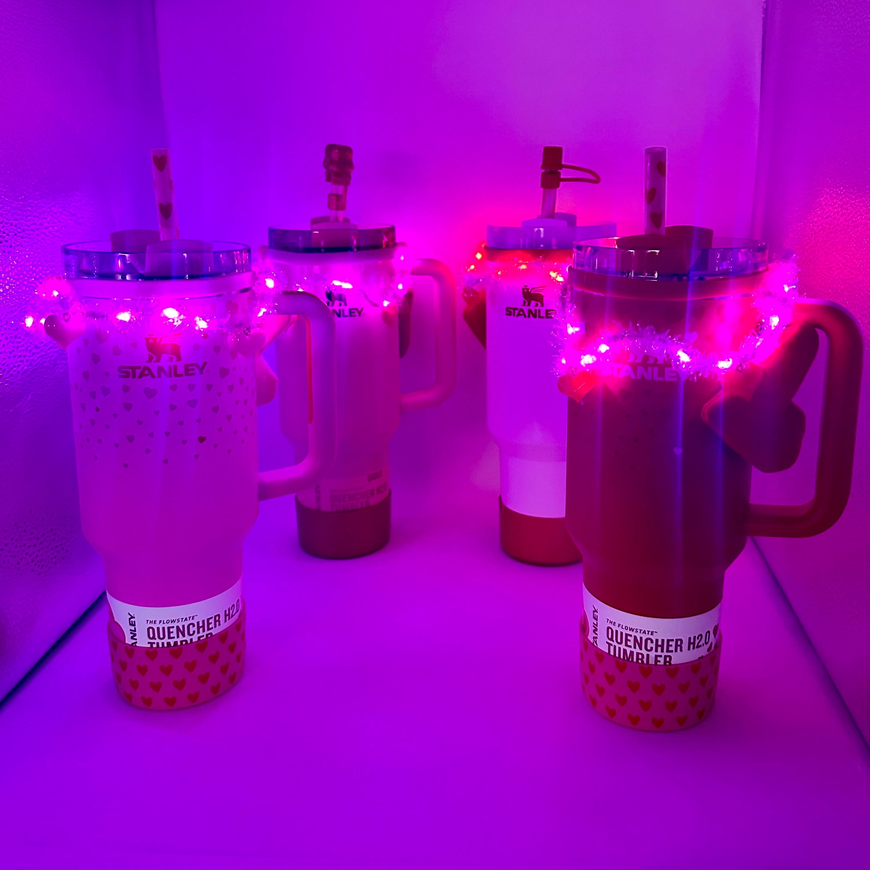 Light Up Valentine’s Day Garland | Tumbler or Water Bottle Charm | Red Pink Heart | Red and White Valentines Accessory | Pink Valentines Day