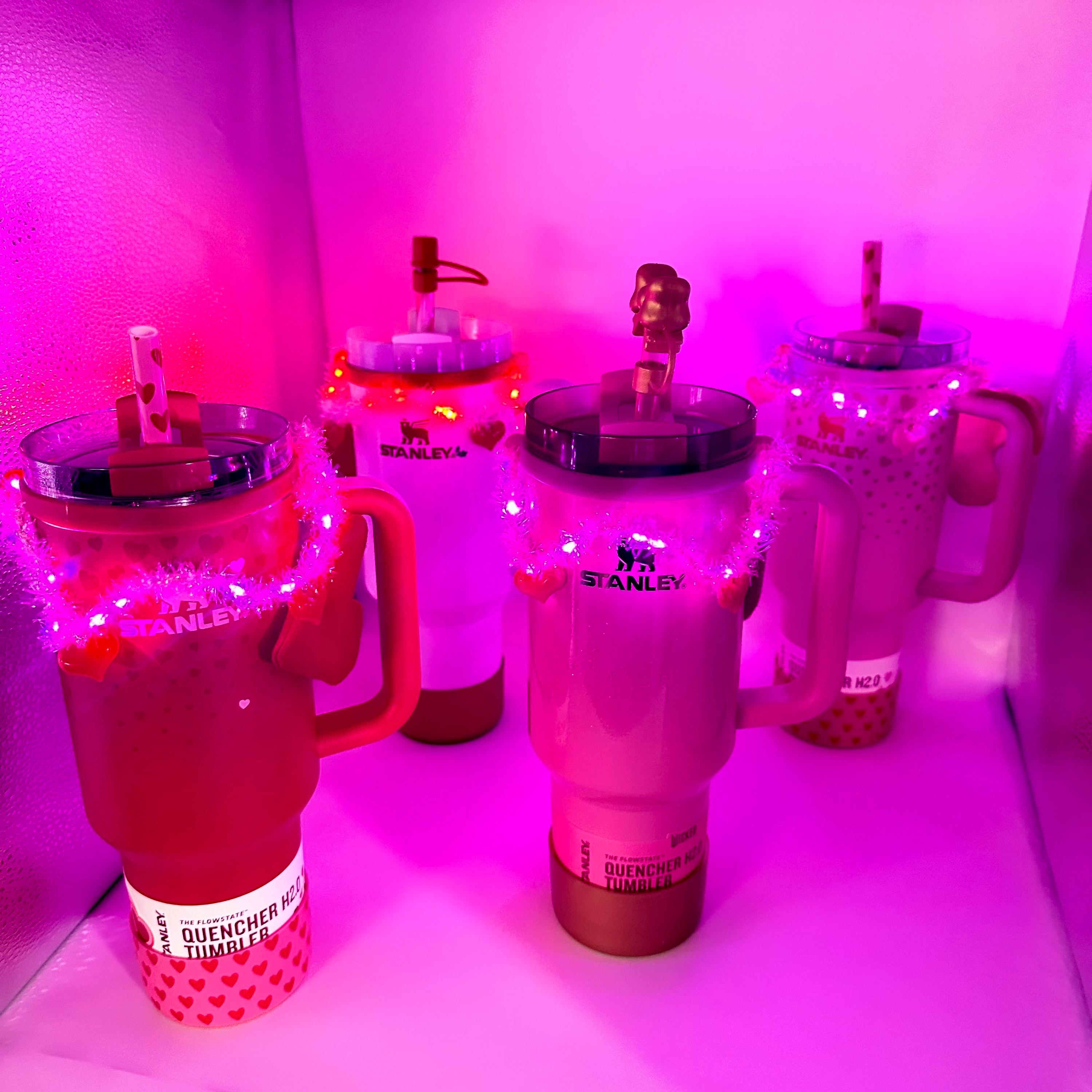 Light Up Valentine’s Day Garland | Tumbler or Water Bottle Charm | Red Pink Heart | Red and White Valentines Accessory | Pink Valentines Day