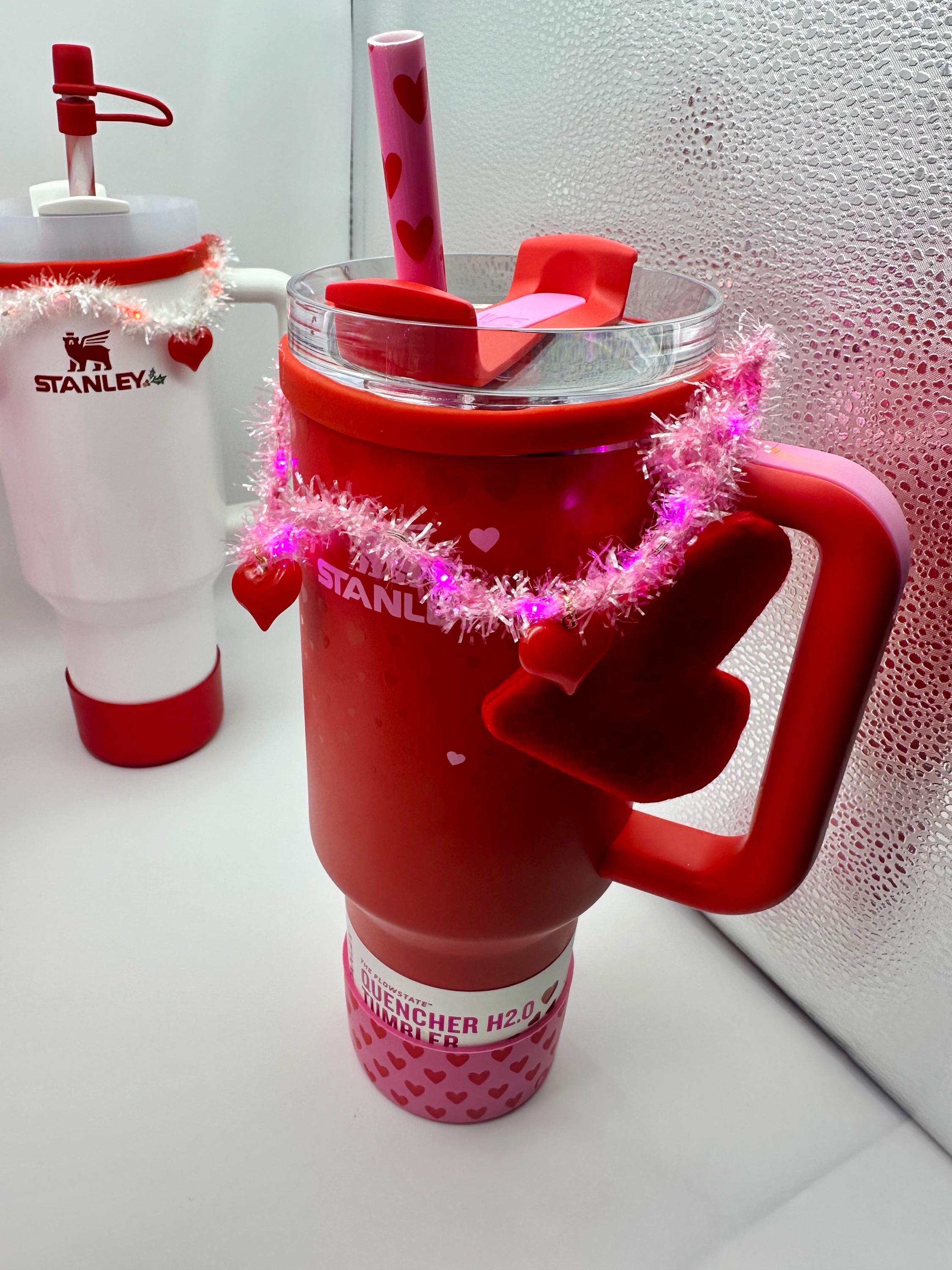 Light Up Valentine’s Day Garland | Tumbler or Water Bottle Charm | Red Pink Heart | Red and White Valentines Accessory | Pink Valentines Day