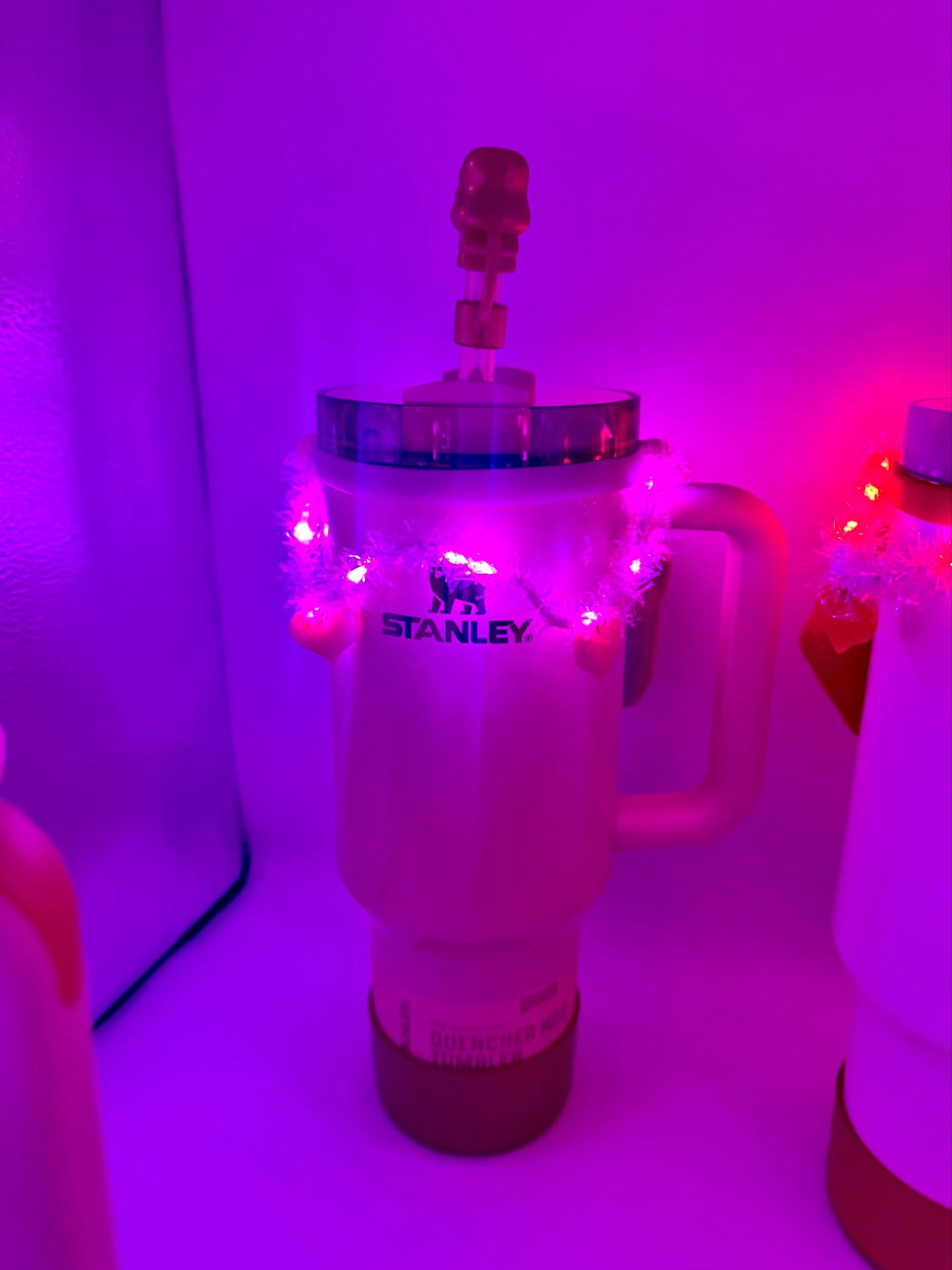 Light Up Valentine’s Day Garland | Tumbler or Water Bottle Charm | Red Pink Heart | Red and White Valentines Accessory | Pink Valentines Day