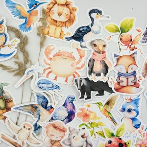 Confezione XL da 25 adesivi fustellati con motivo acquerello carino, adesivi per quaderni, adesivi decorativi per portfolio per bambini, libri scolastici, regalo per l'iscrizione scolastica, impermeabili