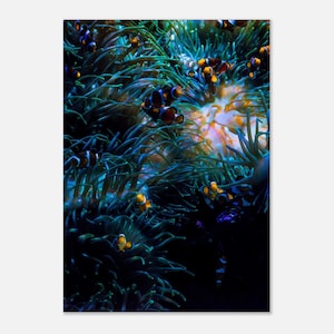 Poster pesce mondo sottomarino stampa artistica fotografica quadro da parete premium su carta opaca decorazione estetica soggiorno arte murale marittima formato DIN ritratto