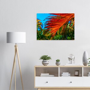 Poster bunte Tropen Palme Foto Kunstdruck Premium Wandbild auf mattem Papier ästhetisch Wohnen Deko Wandkunst DIN Format horizontal