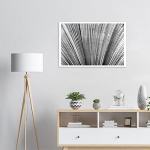 Poster foglia di palma foto in bianco e nero stampa artistica fine art immagine da parete premium su carta decorazione estetica da parete formato 2:3 orizzontale